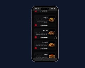 smashburgeramol.ir (1)